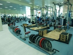 Zeige Produkte für Kategorie KRAFTTRAINING Bild für Kategorie KRAFTTRAINING