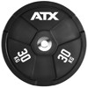 Bild von ATX® Wagon Wheels / Hantelscheiben 2 x 30 kg