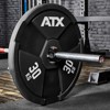 Bild von ATX® Wagon Wheels / Hantelscheiben 2 x 30 kg