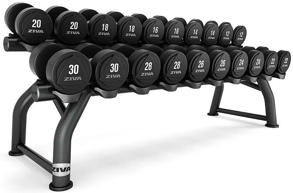 Bild von ZIVA ST 10-PAAR HORIZONTAL DUMBBELL RACK - 2025